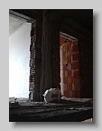 DSC02702
