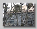 DSC03019