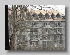 DSC03033