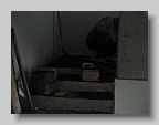 DSC03315