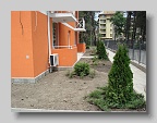 DSC03781