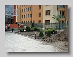 DSC03786