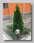 DSC03795