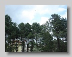 DSC03891