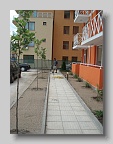 DSC03906