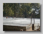 DSC02594