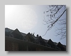 DSC03169