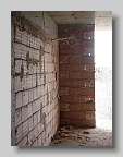 DSC03290