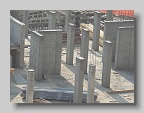 DSC04901