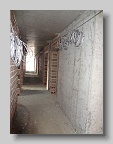DSC00186