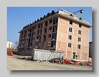 DSC05229