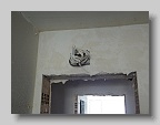 DSC00551