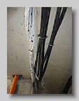 DSC00557