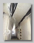 DSC00558