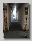 DSC00560