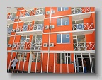 DSCN0602