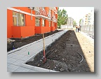 DSCN0618