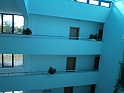 DSC06006