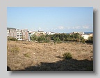 DSC04183
