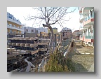 DSC05199