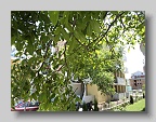 DSC05734