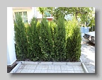 DSC05833
