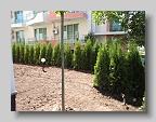 DSC05834
