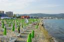 abl-7597.jpg - 