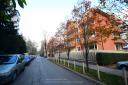 Sofia-1-16.jpg - 