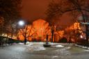 Sofia-4.jpg - 